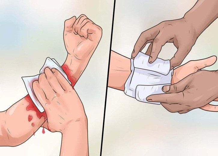 xử lý vết cắn chó ở mèo