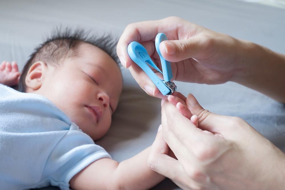 chó thoải mái trong lúc cắt móng