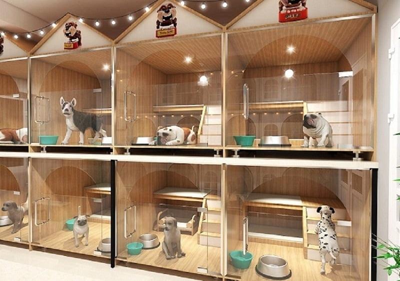sắp xếp không gian cho thú cưng