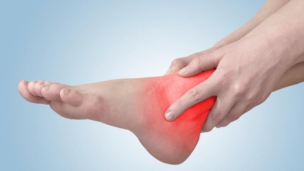 chân chó bị sưng