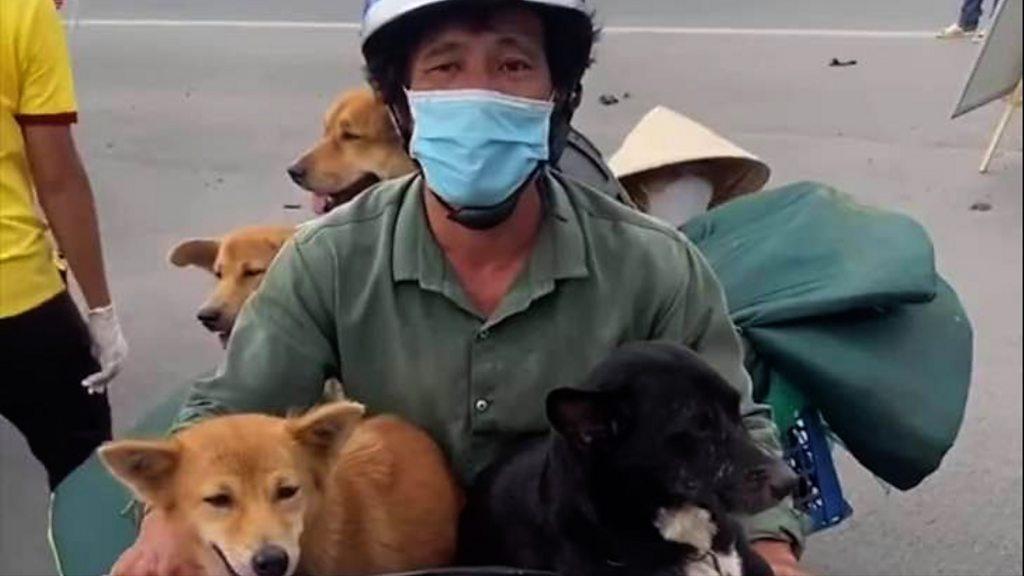 chó địa phương Việt Nam