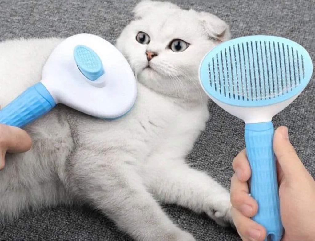dụng cụ chải lông mèo