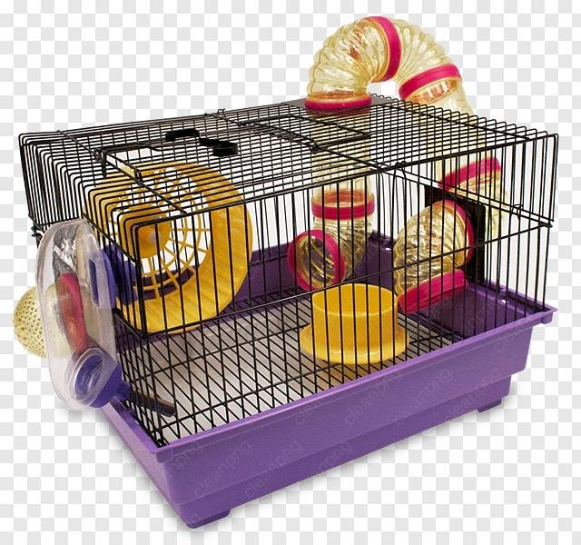 Hamster trong lồng