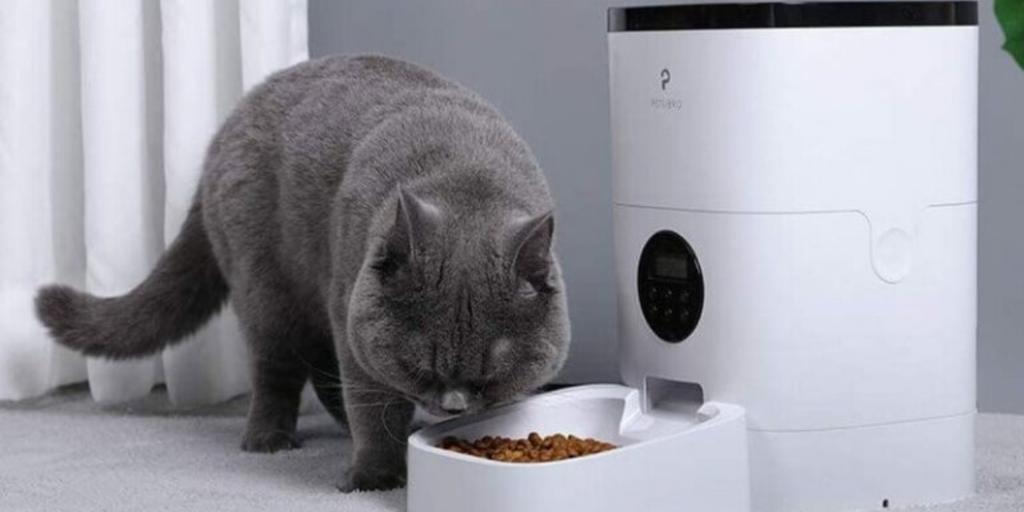 máy cho mèo ăn tự động có camera