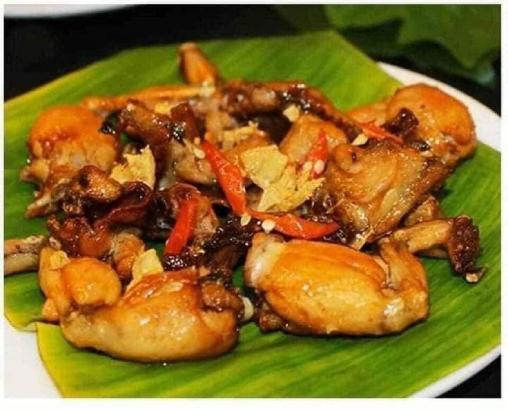 mèo con ăn dặm
