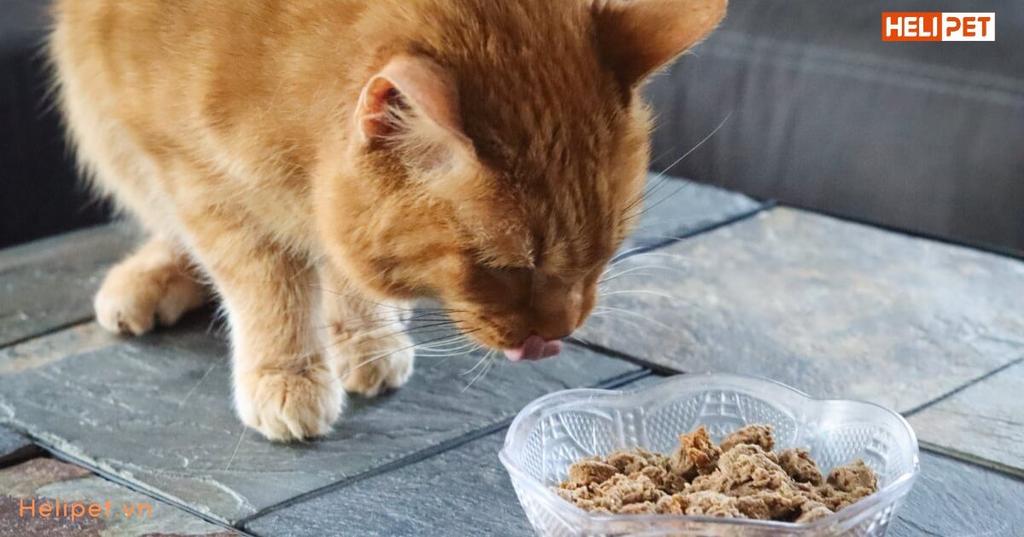 thành phần hạt cho mèo thận