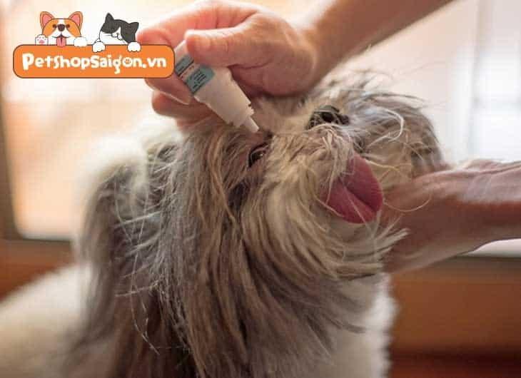 thuốc nhỏ mắt chó